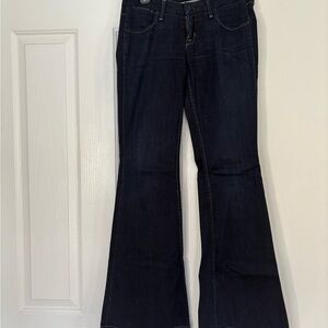 Hudson Jeans Dark Blue Flare Women's Jeans